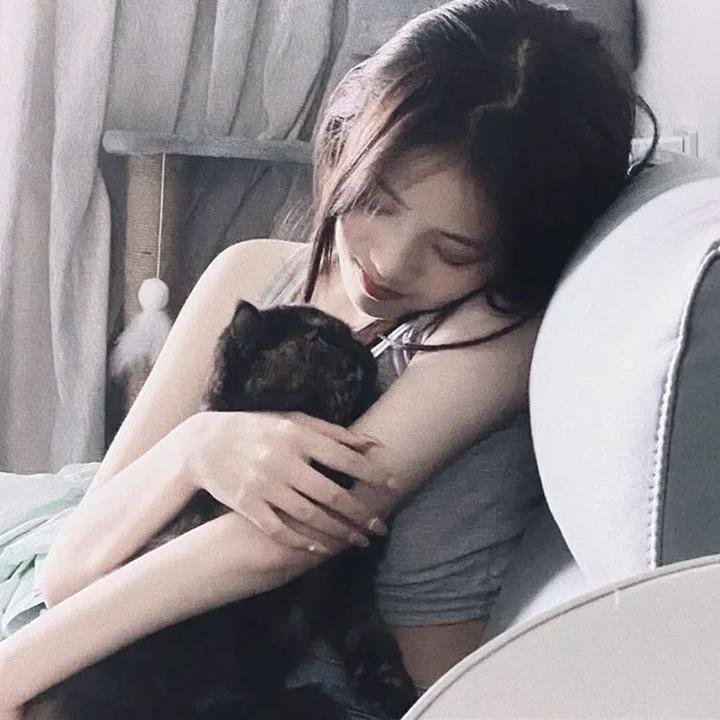 龙牌之谜