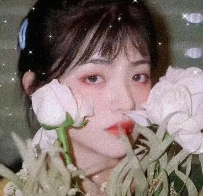 凤城新娘